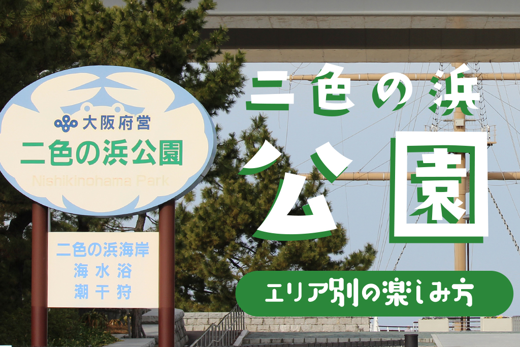 二色の浜公園で遊ぶ