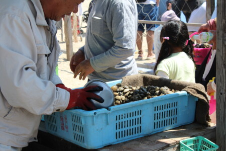 二色の浜 潮干狩り