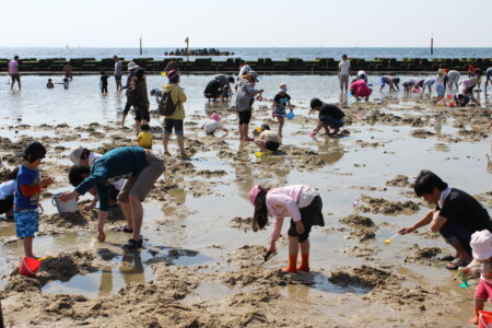 二色の浜 潮干狩り