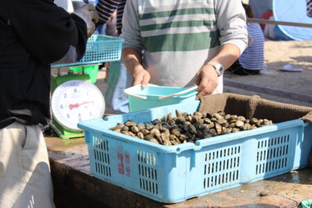 二色の浜 潮干狩り